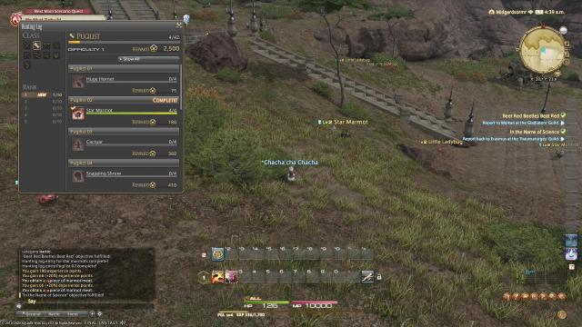 Final Fantasy Xiv Hunting Log