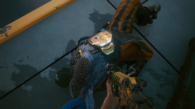 Cp27 Icwp Gd 2 Smgs 5b