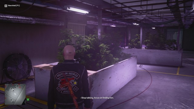 Htmn3 Brl Apx Rhodes 1