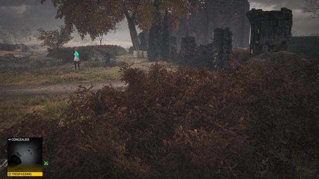 Htmn3 Drtmr Hf Rip 1