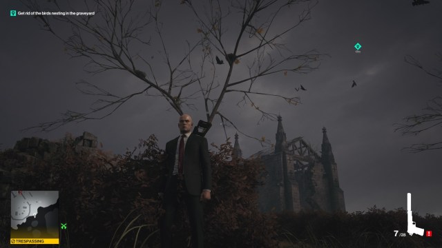 Htmn3 Drtmr Hf Rip 2