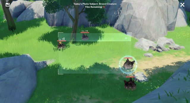 Genshin Impact Kurious Kamera Brown Creatures Guide Five Flushes Of Fortune Day 6 3