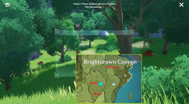 Genshin Impact Kurious Kamera Brown Creatures Guide Five Flushes Of Fortune Day 6 4