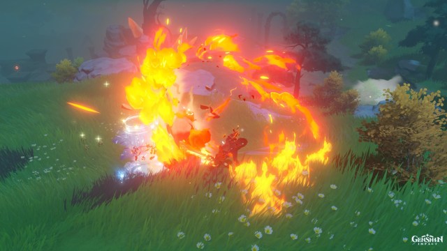 Gen Pct Hng Ev Chgy 2a