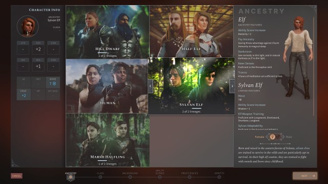 Solasta Crown Of The Magister Character Creation Guide Races Background Skills Proficiencies Feats 1
