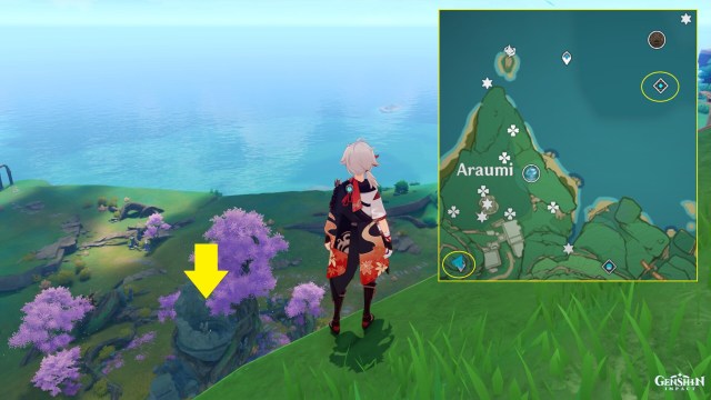 Gen Pct Inz Dmn Gd 2a