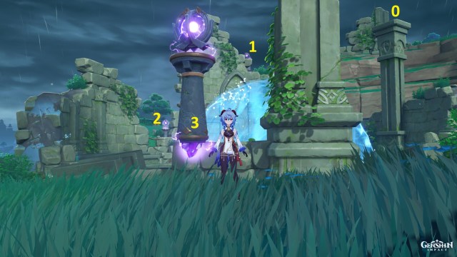 Gen Pct Oroblgcy Gd 3a