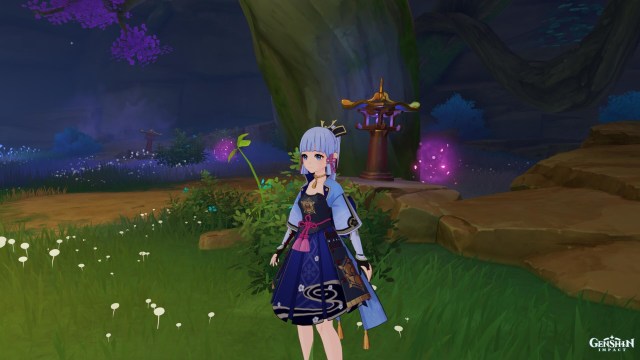 Gen Pct Sacsakrit Fin Gd 2