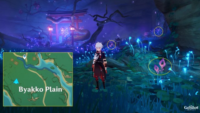 Gen Pct Nkwd Fr Yoi Gd 2c