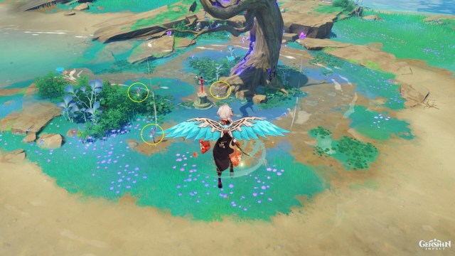 Genshin Impact Naku Weed Farming Locations Guide Yoimiya Ascension Guide 1b