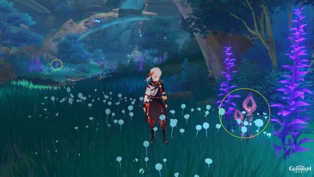 Genshin Impact Naku Weed Farming Locations Guide Yoimiya Ascension Guide 2c