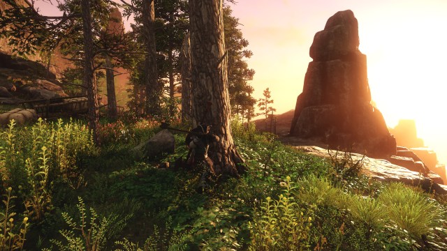 Aeternum Is Beautiful