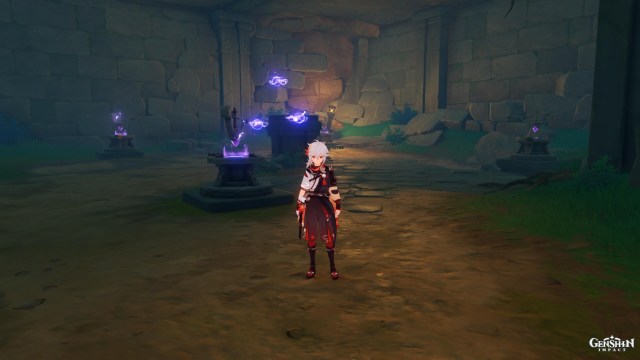 Gen Pct Shrk Pz Trch 2a