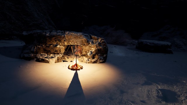 Icarus Arctic Biome Guide Snowstorm Polar Bear 2a