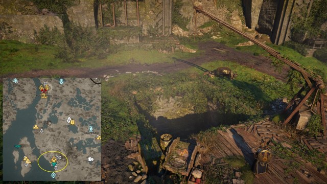 Ac Val Ragn Dwrblk Gd 1a