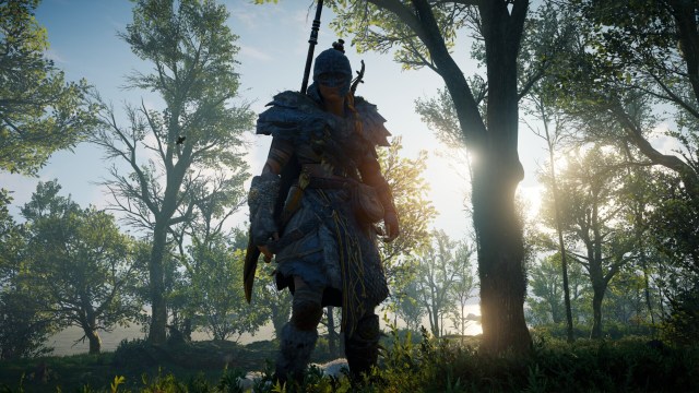 Acval Ragn Jtncl Rk Scbs 1