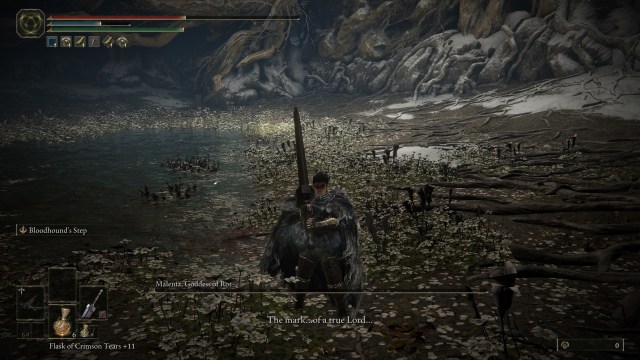 Elden Ring How To Beat Malenia Blade Of Miquella Queen Of Rot 3