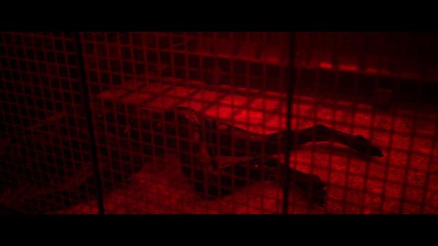 The Quarry Character Deaths Guide Everyone Dies Hackett's Quarry Massacre Final Girl Last Man Standing Mutually Assured Family Matters 4