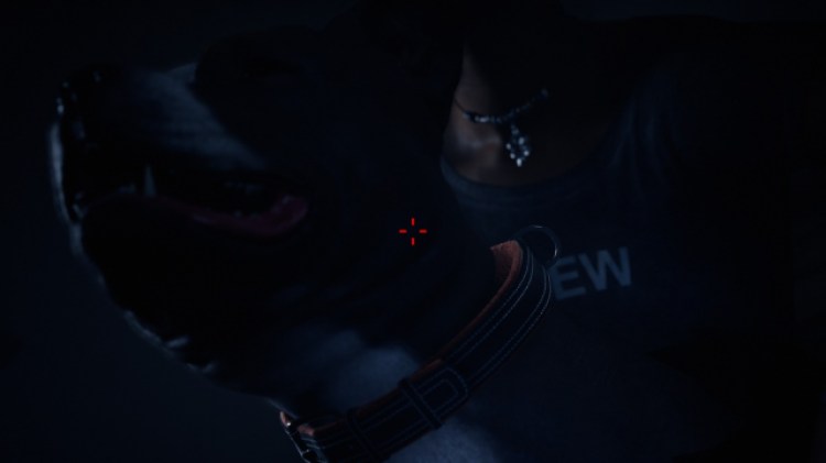 Tdp Devim Xchar Klgd 3d