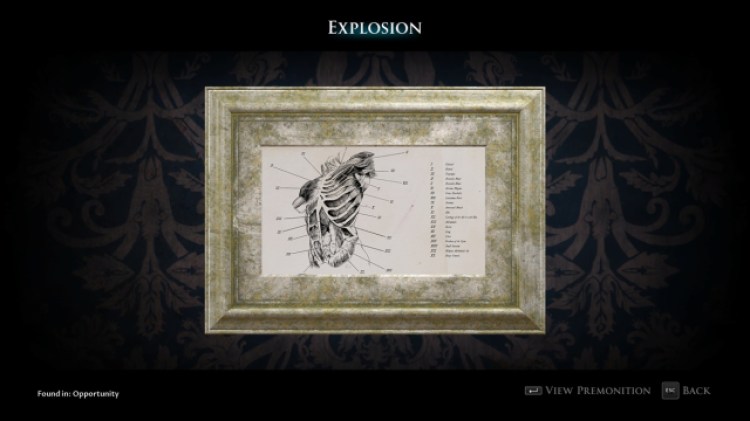 Tdp Devim Premfull Gd 1a