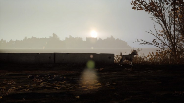 Tdp Devim Svcon Woof 2b