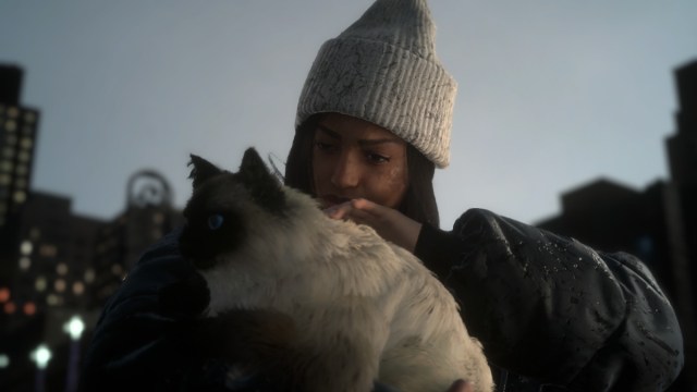 Frsp Sqnx Bssgd Last Cnc 1b