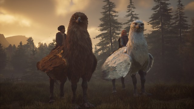 Hogwarts Legacy Hippogriffs