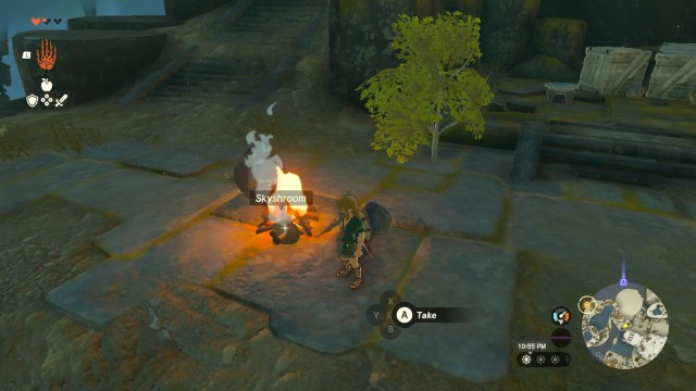 How To Roast Ingredients In Tears Of The Kingdom Shroom Cooking