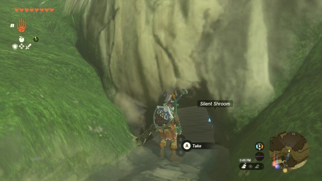 Kakariko Village Cave Entrace