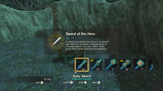 Sword Of The Hero Tears Of The Kingdom