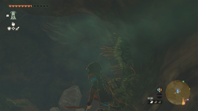 Tears Of The Kingdom Sahasra Tower Solution