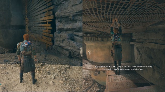 Cal Climbing And About To Jump