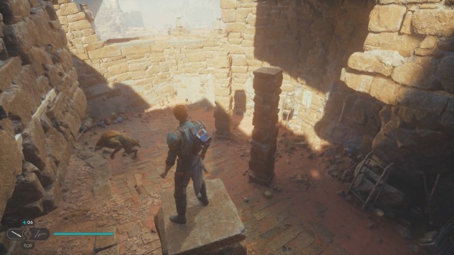 Cal Standing On A Pillar