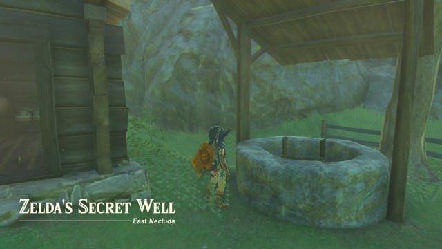 How To Tie Link's Hair In A Ponytail Tears Of The Kingdom Zelda's Secret Well