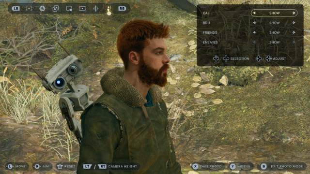 Screenshot Cal Bd Editor Picture Effects Filters Controls