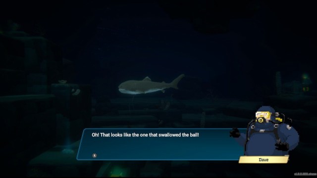 How To Find The Childrens Ball In Dave The Diver Megamouth