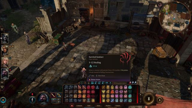 Baldur's Gate 3 Survival Instinct