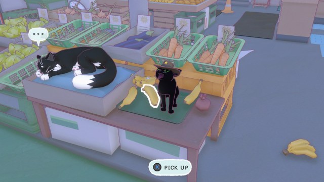 Banana Little Kitty Big City