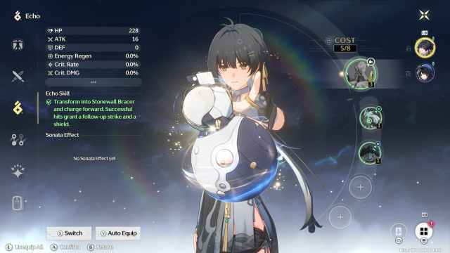 Wuthering Waves Echo Slot