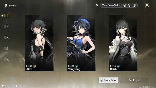 Wuthering Waves F2p Rover Team