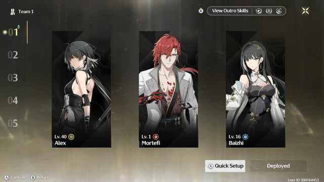 Wuthering Waves Mortefi F2p Team