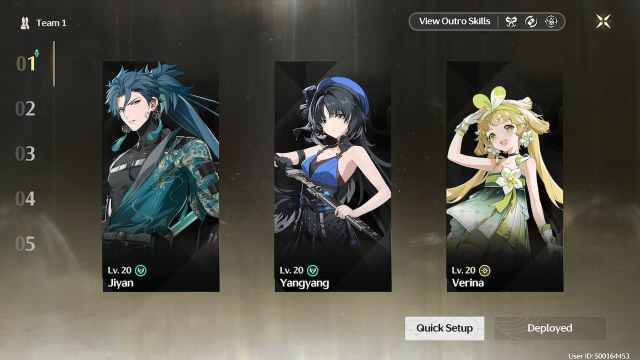 Wuthering Waves Premium Comp