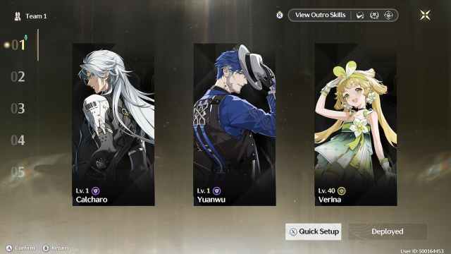 Wuthering Waves Yuanwu Premium Team