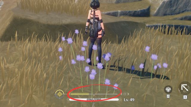 Wuthering Waves Energy Types Special