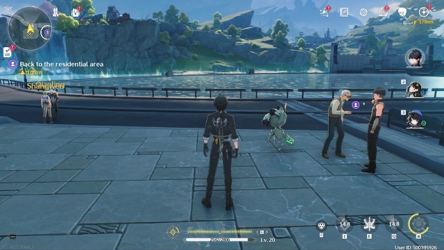 Wuthering Waves Using The Projector